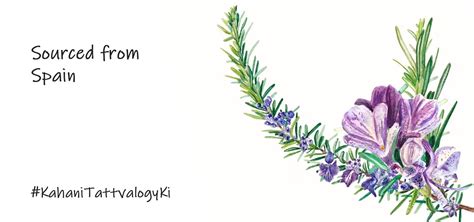 Grow Hair & Boost Thickness! Tattvalogy Rosemary Essential Oil (15ml ...