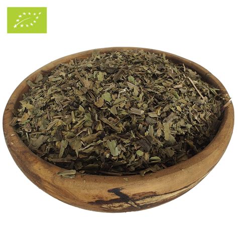 Organic Plantain Leaf / Premium / Plantago Major | Epicofnature