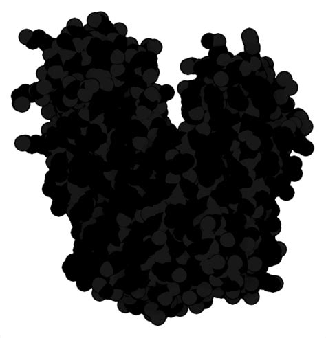 Slc46 Structure 的图像结果