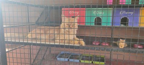 FortView Resort | Kids Zone