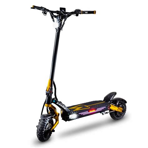10+ Best Long Range Electric Scooters In 2024: Ranked