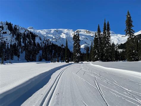 THE CALLAGHAN'S JOURNEYMAN LODGE (Whistler) - Lodge Reviews & Photos ...