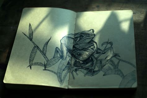 Agumbe Diaries | Nature inFocus