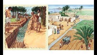 Image result for Coding Pictures Lua