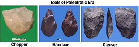 Revisiting History: Women as Hunters in Prehistoric Societies – GKToday