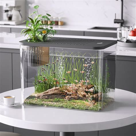 Sunicon Small Fish Tank,Mini Indoor Aquaponics Growing India | Ubuy