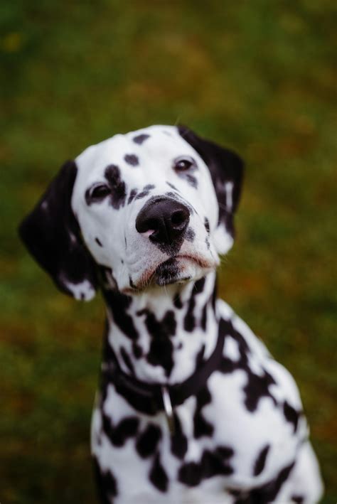 Laura Müller Onlyfans Leak Enthüllt: Was Steckt Dahinter? - Aktuelle Nachrichten: Zürich, Bern ...