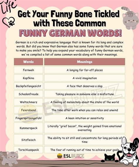 Funny Pics With Words For Kids