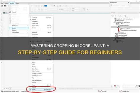 Image result for Corel Paint Tutorial Setin Up File Prefernces