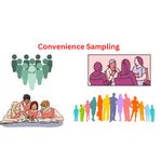 Image result for Convenience Sampling Video