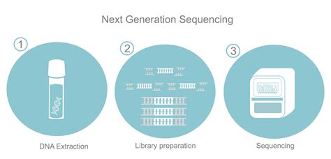 DNA Library Process 的图像结果