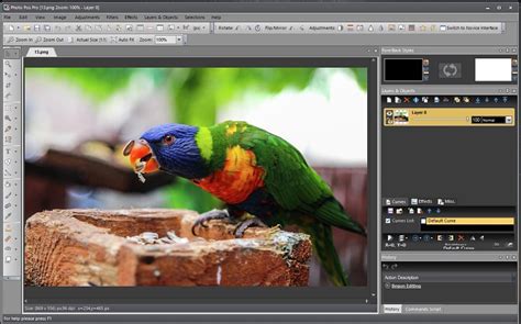 Image result for Photo Programs Free