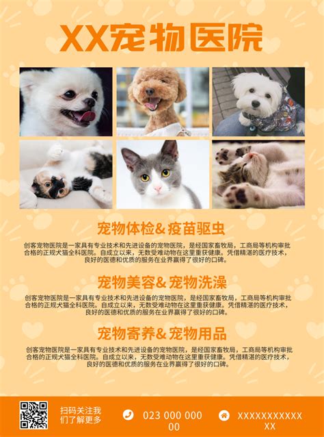 黄色宠物医疗健康推广宣传单/DM宣传单-凡科快图