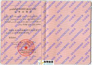 新疆大学-毕业证样本网