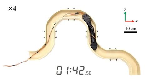 Image result for How to Build Artificial Muscles Move