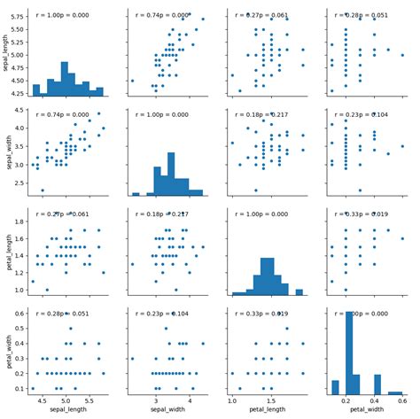 Python SNS Pairplot 的图像结果