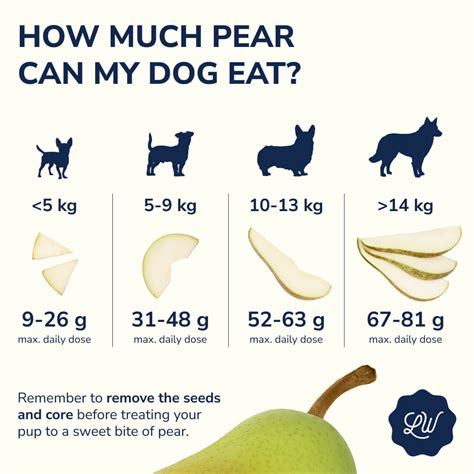 Can Dogs Eat Korean Pears