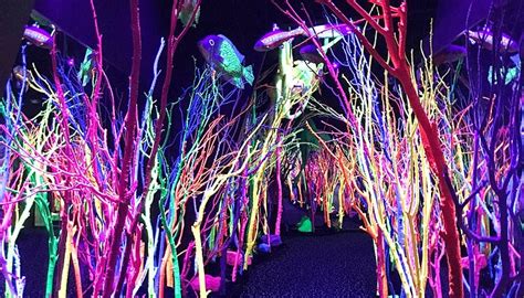 MEOW WOLF SANTA FE - All You Need to Know BEFORE You Go 2026 (with ...