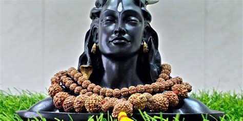 1 - 14 Mukhi Rudraksha Mala (Indonesia Origin) — Parthpooja