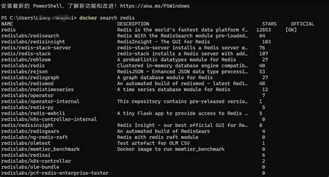 Redis SQL Docker 的图像结果
