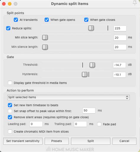 Image result for Reaper Dynamic Split