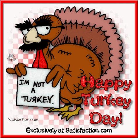 Funny Thanksgiving Gif #thanksgivinggif #happythanksgivinggifs # ...