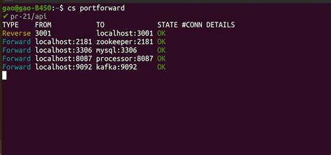 Port-Forwarding Example 的图像结果