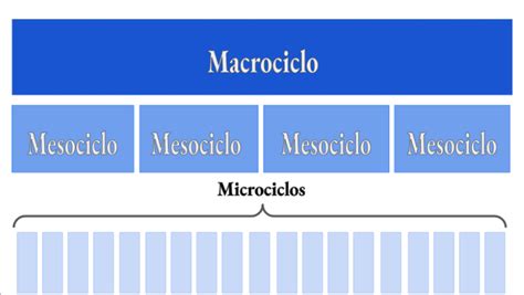 La periodización del entrenamiento en la arquería