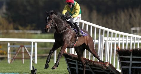 Supasundae takes dramatic Punchestown Champion Hurdle – The Irish Times