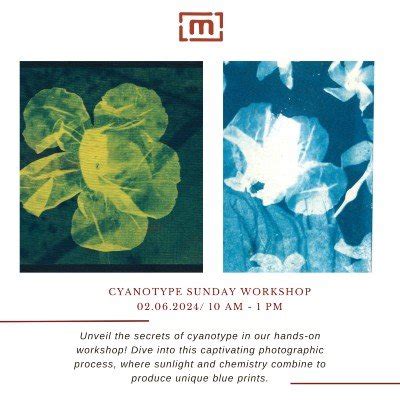 Cyanotype Sunday Workshop Tickets, Mould - An Art Space, Ahmedabad, 2 ...
