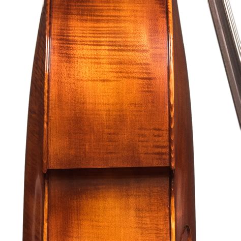 Image result for Gamba Tutorial