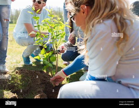 Tree-Planting Activity 的图像结果