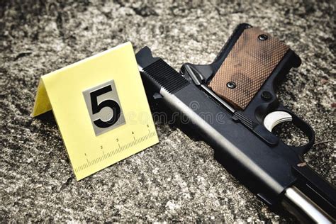 Image result for Bullet Shell Casing