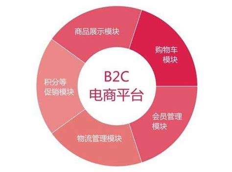 B2C电商平台系统有哪些功能 - 大商创