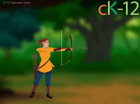 Forces Examples 的图像结果