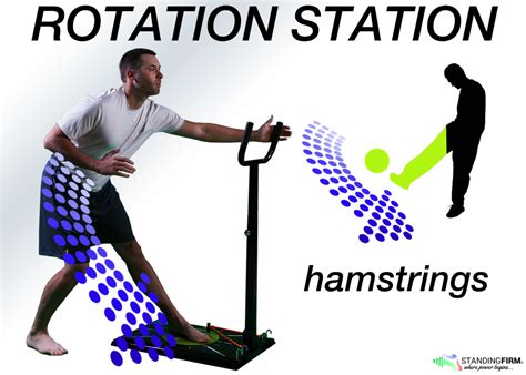 Hamstring Setting 的图像结果
