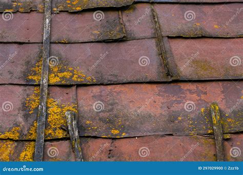Rusted Sheet. Texture With Invasion Of Rust Pieces. Stock Image ...