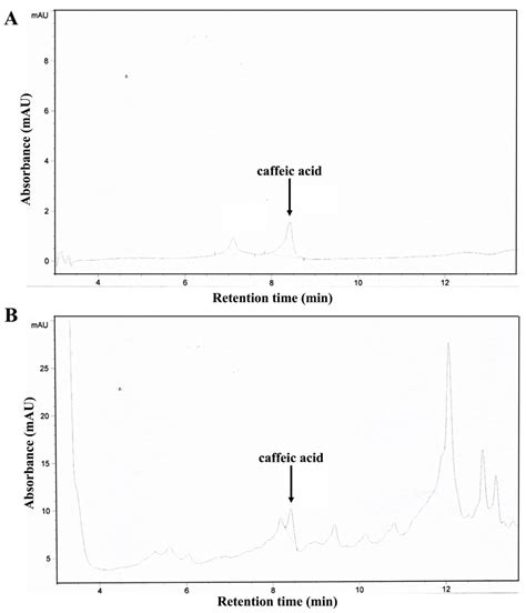 Apoptosis Induction Associated with Enhanced ER Stress Response and Up ...