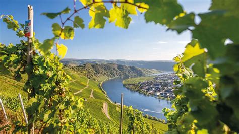 #MOSELRIESLING24 - 12TH #winelover anniversary, Kröv an der Mosel ...