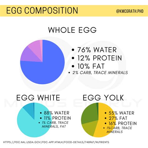 Egg and Egg White Nutrition - Modus Energy Nutrition Coaching
