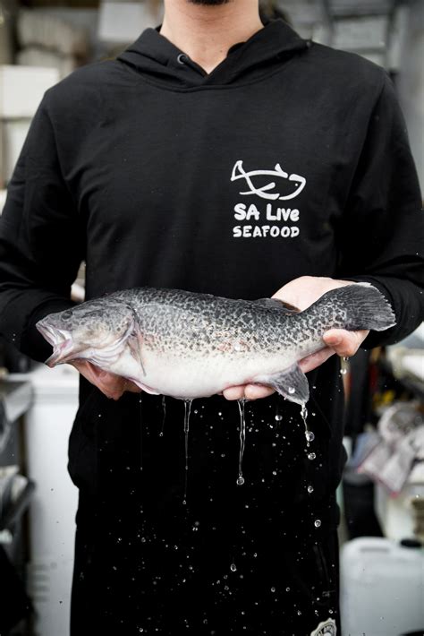 Image result for Murray Cod Cooking