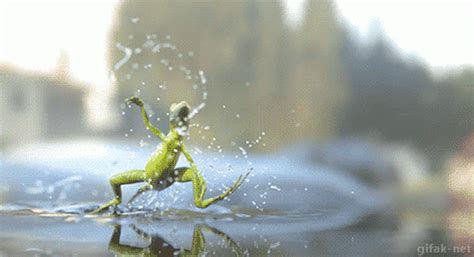Image result for Lizard HTML Report Example