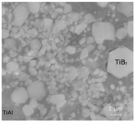 Influence of Titanium Diboride Particle Size on Structure and ...