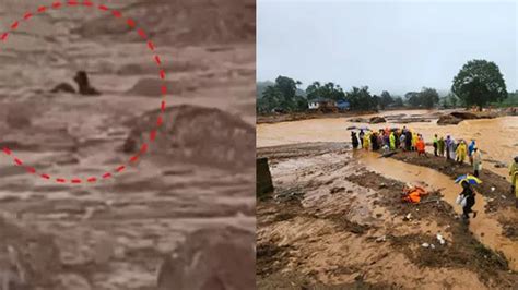 Youth stuck in flash floods rescued after hours, trying to bring him ...