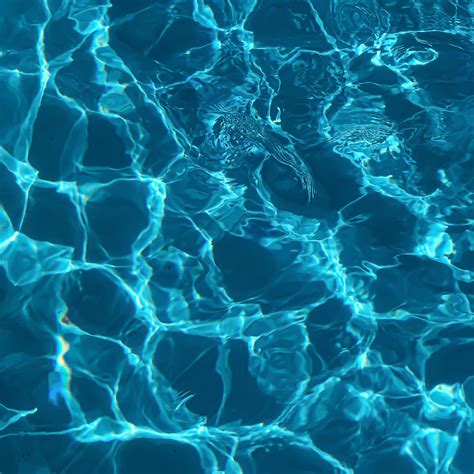 Spirit of Baltimore Dinner Cruise Tickets | Fever