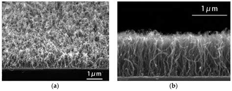 Study on the Properties of Vertical Carbon Nanotube Films Grown on ...