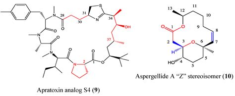 A Survey of Marine Natural Compounds and Their Derivatives with Anti ...