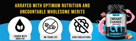 Abbzorb Weight Gainer Powder with Vitamins(B,C,D) Minerals (Calcium ...