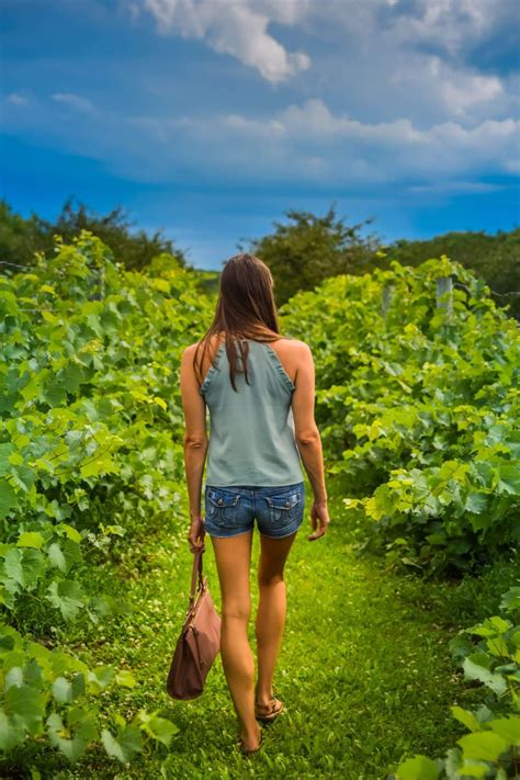 Exploring the Door County Wine Trail: Best of the Best - A Couple Days ...