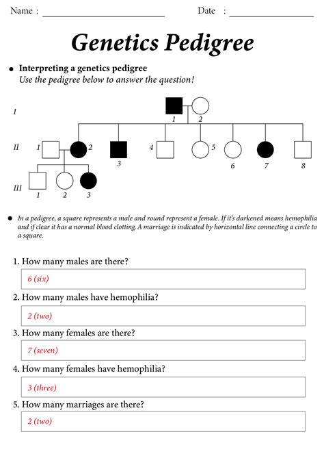 15 Pedigree Worksheet With Answer Key Free PDF At Worksheeto ...